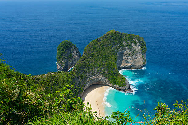 istock Nusa Penida - T-Rex Beach 2207622385
