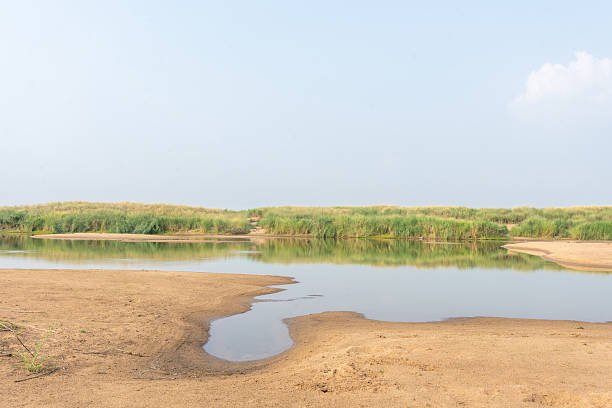 istock Serene Coastal Landscape Calm Water Reflecting Grassy Dunes on Sandy Beach 2207622763