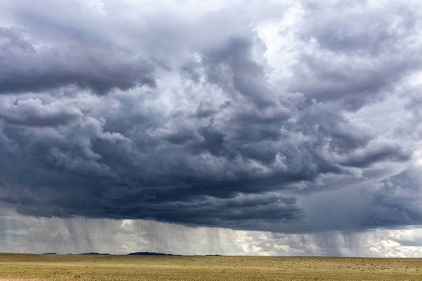istock Landscape with big clouds and rain in the steppe 2207626218