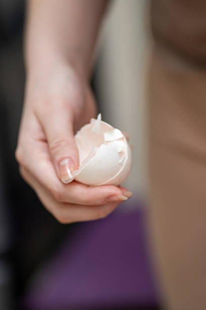 hand gently holding a white eggshell, symbolizing fragility and delicacy. The contrast between skin tone and the shell highlights natural beauty