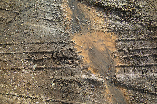 Detailed texture of heavy-duty tire treads pressed into damp earth, showcasing the intricate industrial patterns and organic grit of a muddy outdoor trail.