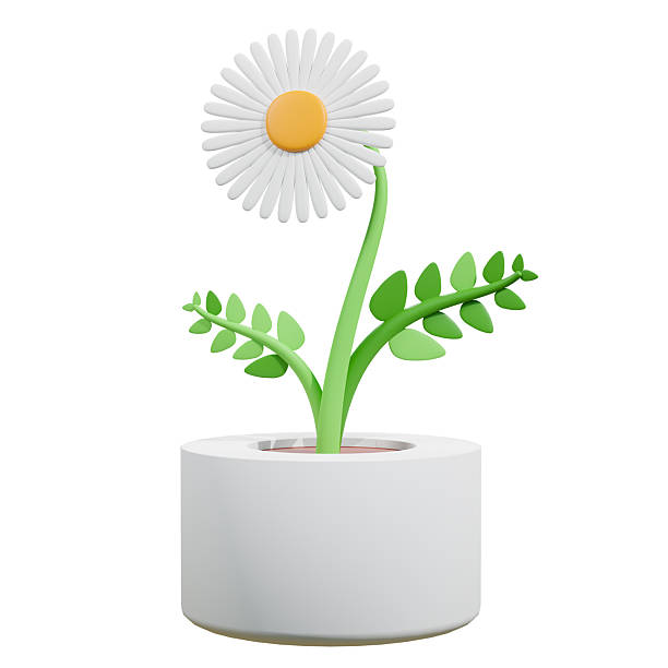 istock 3D illustration of a blooming flower in a pot 2207634096