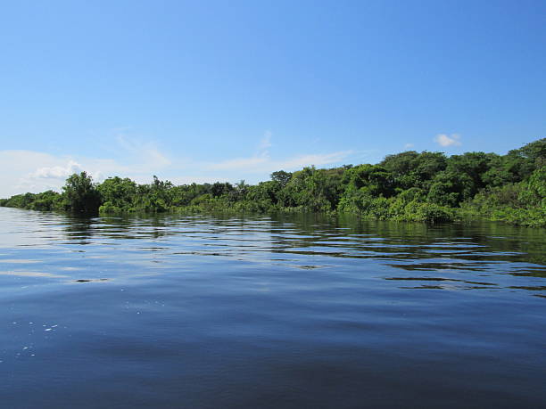 istock Rio Negro Manaus Brazil 2207637044