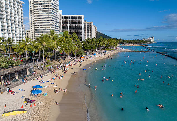 istock Waikiki Waves & Wonders 2207643236