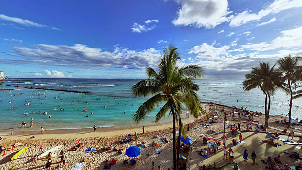istock Waikiki Waves & Wonders 2207643303