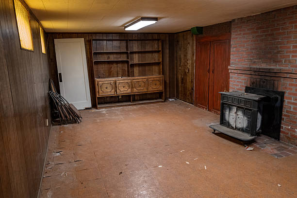 Basement living space with fire place and book case
