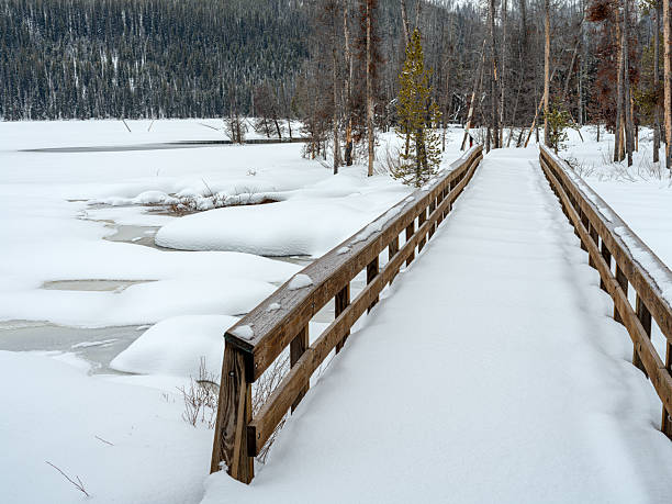 istock Freshly fallen snow covers a foot bridge 2207643648