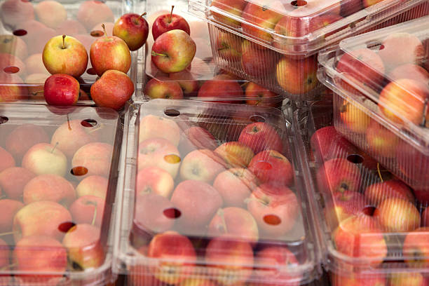 Red apples and ripe dark plums arranged together on a white background. Fresh autumn fruit assortment for healthy food design and natural nutrition concepts.