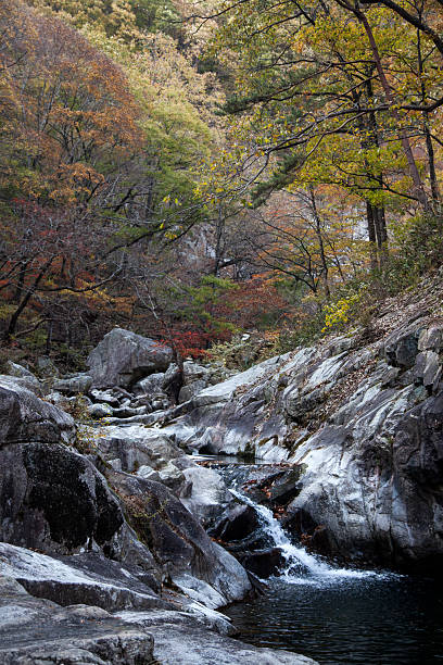istock pool and waterfall in the autumn valley 2207644241