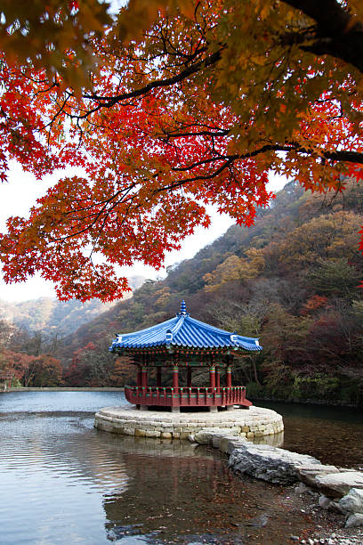 istock maple tree and gazebo at the lake in autumn 2207645329