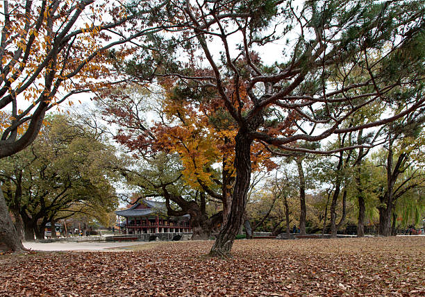istock pavilion, footpath and trees in autumn 2207645368
