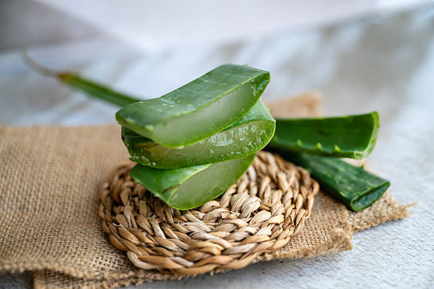 istock Aloe vera fresh leaves  on shadows  background 2207662512