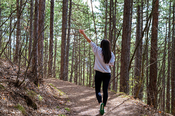 istock Hiker Woman walking in a pine forest in the spring  mountain 2207662792