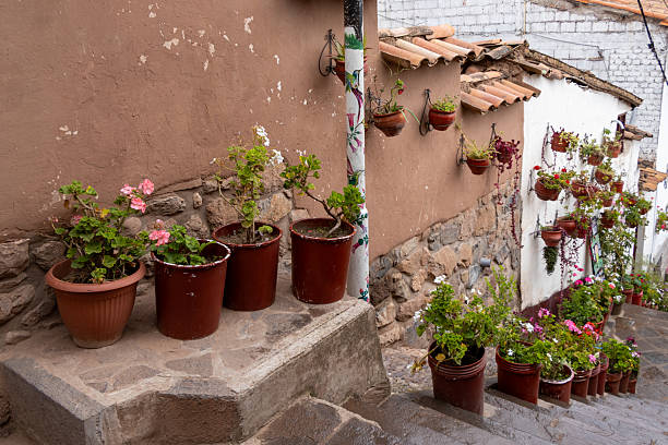 istock Decorations made of plants and flowers in Peru 2207664396