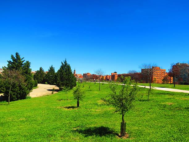 istock Public park  in Madrid  city, Spain. 2207665810