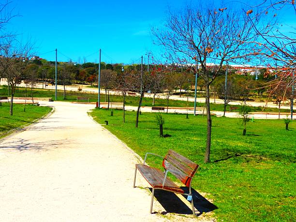 istock Public park  in Madrid  city, Spain. 2207665851
