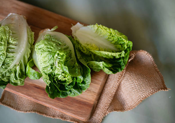 istock Green Mini romaine salad 2207668251