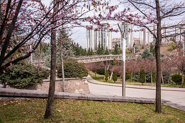 istock City park viewing terrace and truss system 2207669944