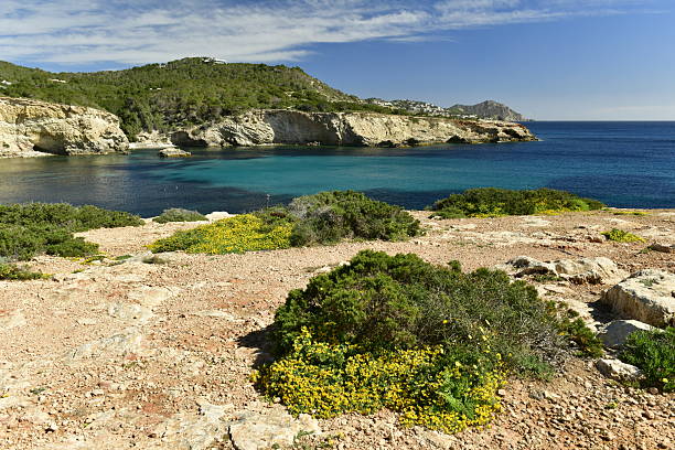 Rugged coastline North of Eivissa.