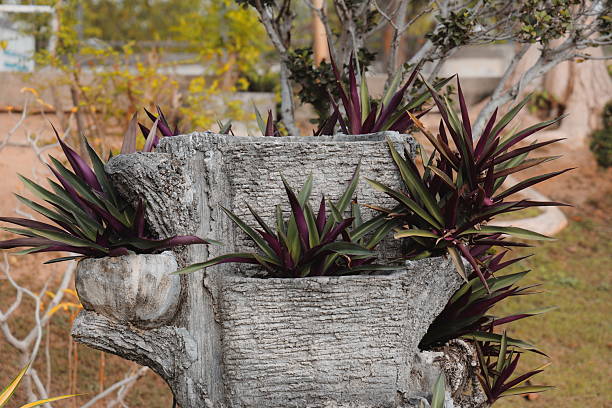 A beautifully stylish planter design showcasing vibrant, lush tropical plants nestled in a textured stone holder