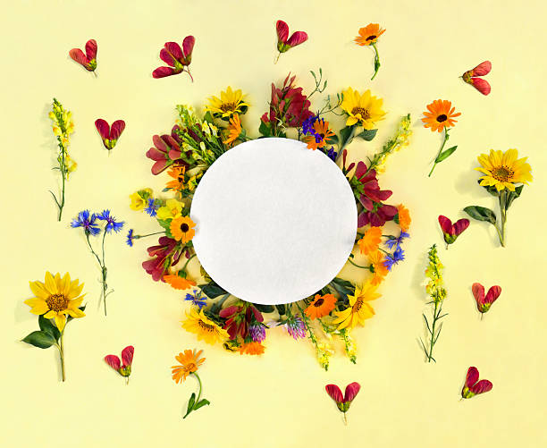 istock Creative decoration summer flowers sunflowers, calendula, linaria, daisies, red samaras maple ash, blue cornflowers with circle paper card note with space for tex on yellow paper backgroundt. Top view, flat lay 2207673378