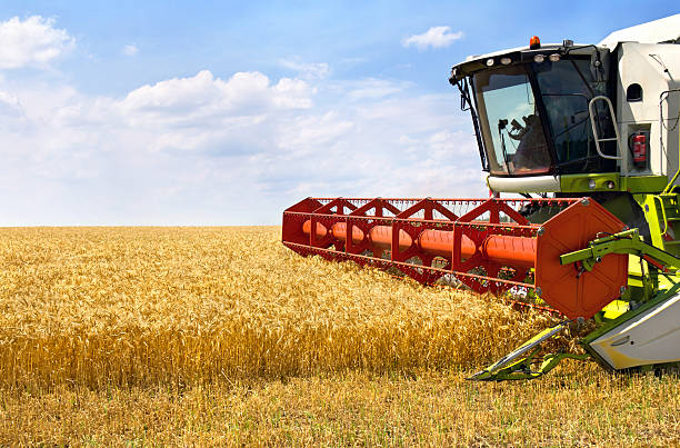 istock Combine harvesting wheat on of wheat field. 2207674000