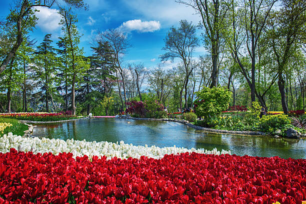 istock Emirgan Park, Istanbul 2207677359