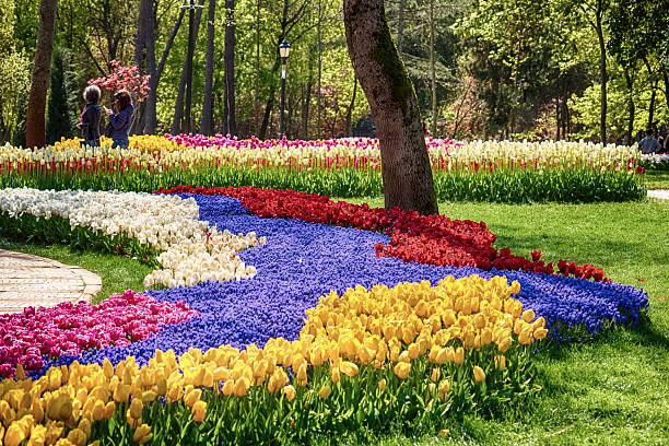 istock Emirgan Park, Istanbul 2207677386