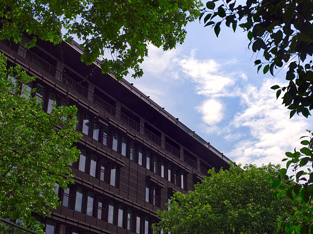 istock Wooden building framed by green trees 2207678168