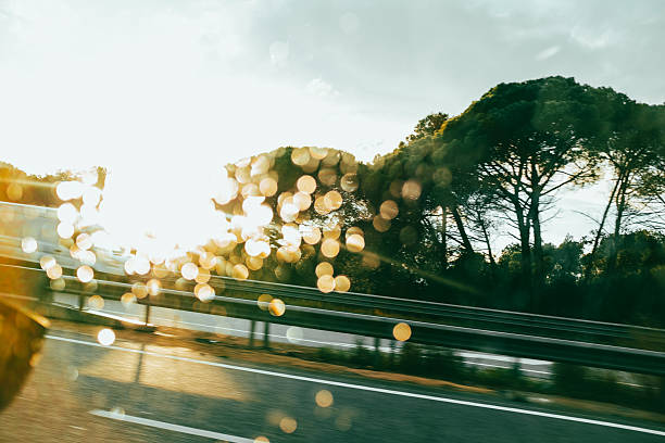 Sun flare shining thru spotlights in a blurry forest landscape