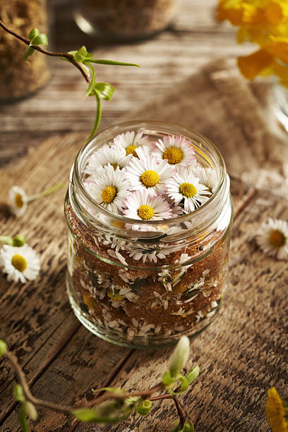 istock Preparation of herbal syrup from common daisy flowers in spring 2207682745