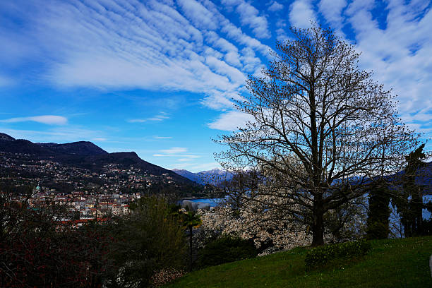Panoramic view of Verbania