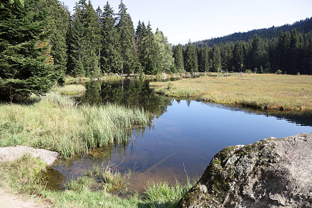 istock Kleiner Arbersee / Kleiner Arbersee / 2207683619