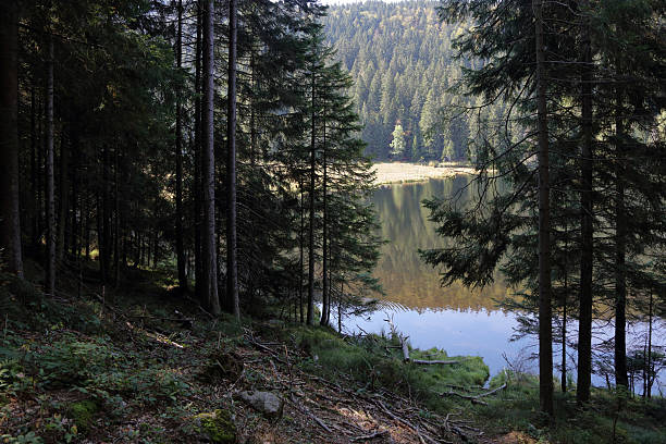 istock Kleiner Arbersee / Kleiner Arbersee / 2207683829