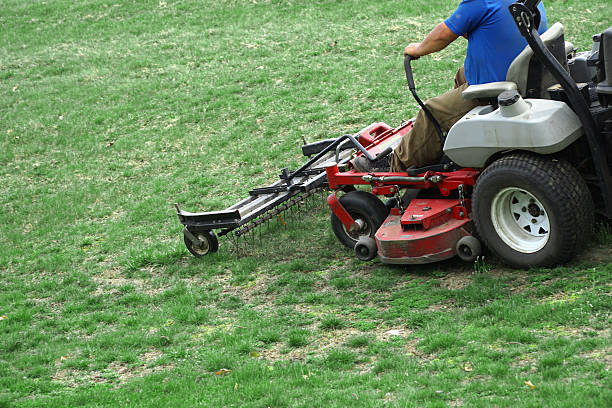 istock outdoor worker working on mowing the lawn 2207684163