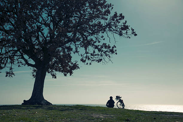 istock Cyclist sitting under a big tree on the beach 2207685422