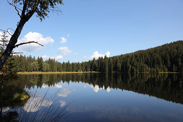 istock Kleiner Arbersee / Kleiner Arbersee / 2207686134