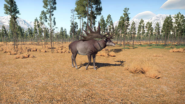 istock MEGALOCEROS GIGANTEUS (Deer) 2207686494