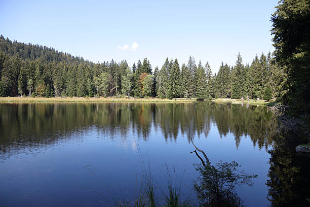 istock Kleiner Arbersee / Kleiner Arbersee / 2207686673