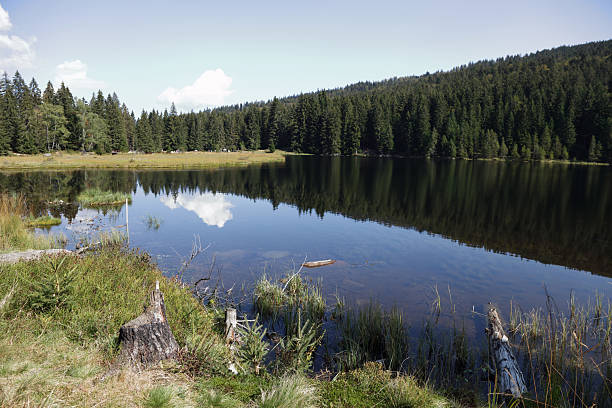 istock Kleiner Arbersee / Kleiner Arbersee / 2207687583