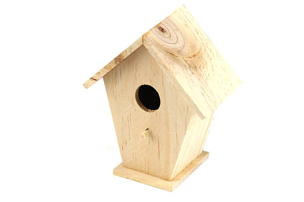 istock wooden bird nest house isolated on white background 2207699132