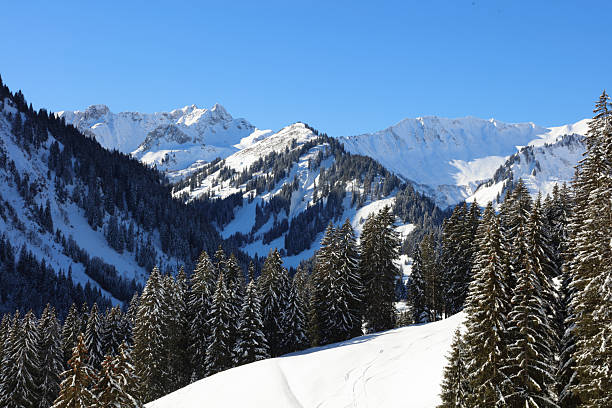 Kleinwalsertal - Winter / Kleinwalsertal - Winter /
