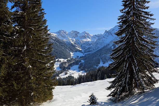 The town of Mittelberg in the Austrian Alps surrounded with lush green hills, snowcapped mountains and autumn colored trees