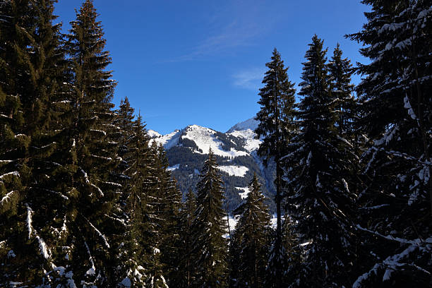 Kleinwalsertal - Winter / Kleinwalsertal - Winter /