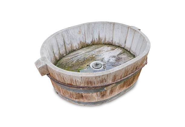Wooden Barrels in Outdoor Scene