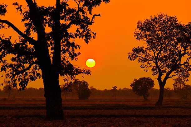 Sunset, sunrise sky morning bright, beautiful summer