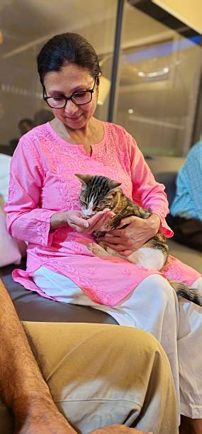 istock A Woman is feeding Cat. 2207705022