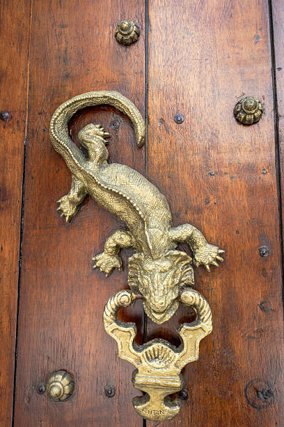 A gold colored lizard is attached to a wooden door