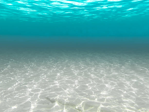 istock White sand meets the blue sea 2207708174