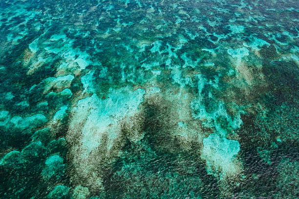 istock Mesmerizing Water Abstract Patterns – A Play of Light, Ripples, and Reflections Creating Stunning, Fluid Art in Nature! 2207710588